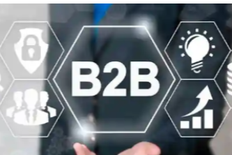 B2B Portal Nedir ?